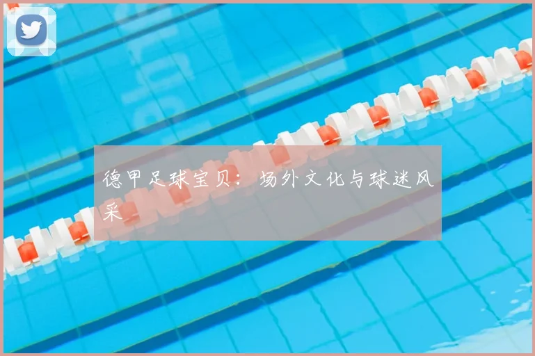 德甲足球宝贝:场外文化与球迷风采